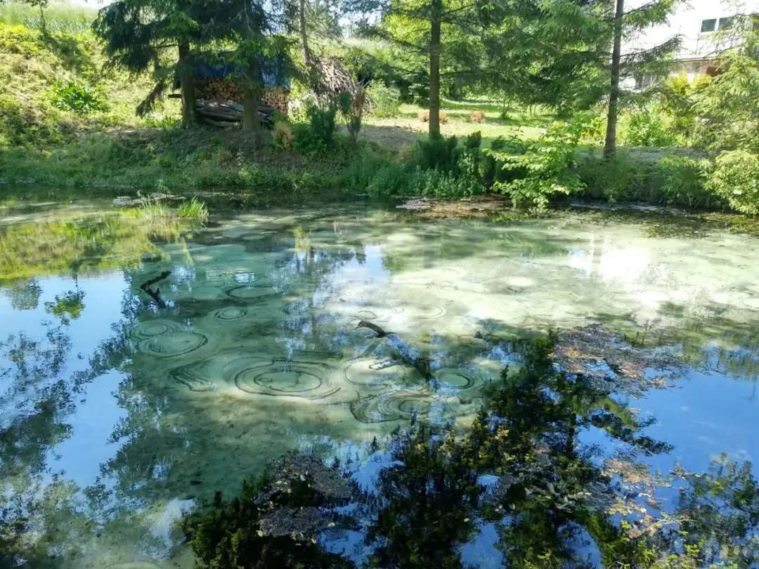 Dłubniański Park Krajobrazowy: Ucieczka z Krakowa. Co zobaczyć?
