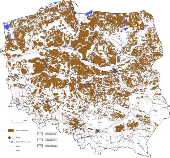 Formy rzeźby: odkryj różnorodność technik i materiałów w sztuce