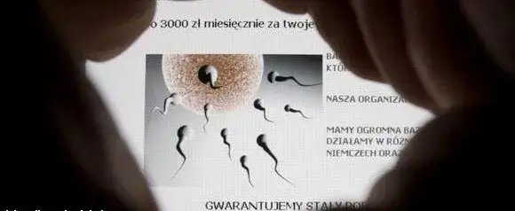 Ile zarobisz na oddaniu spermy? Poznaj realne stawki w Polsce