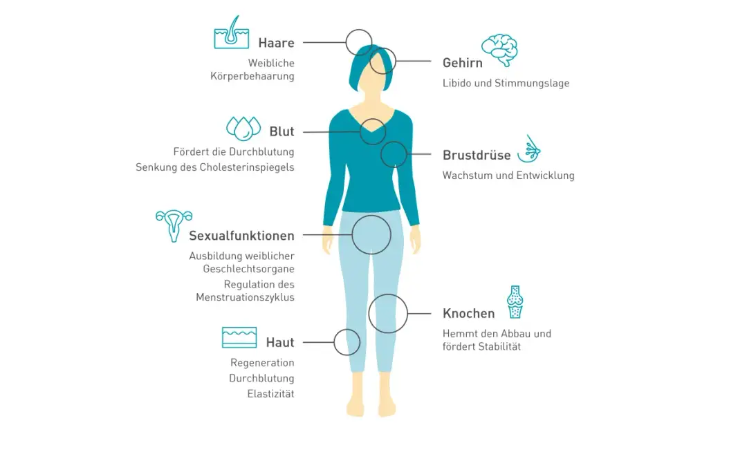 Die häufigsten Symptome der Wechseljahre bei Frauen und ihre Folgen