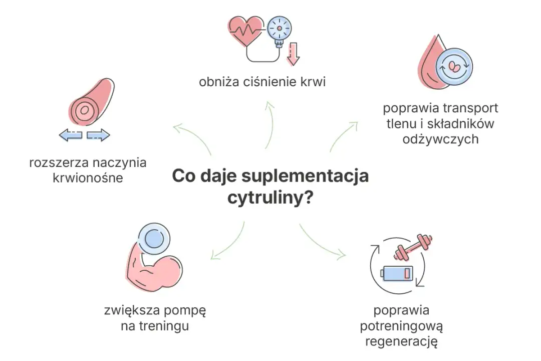 Cytrulina przed treningiem: Jak zwiększyć pompę i wytrzymałość?