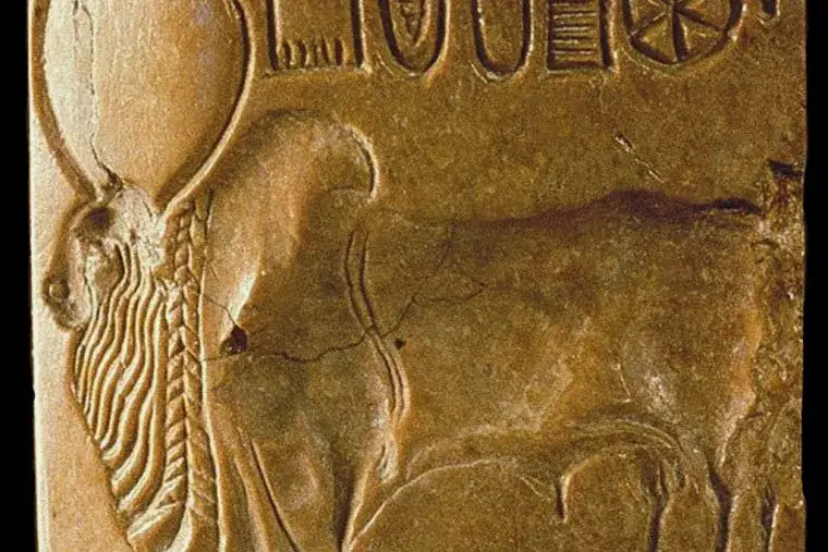 Cywilizacja Indii: Tajemnice i osiągnięcia starożytnej kultury