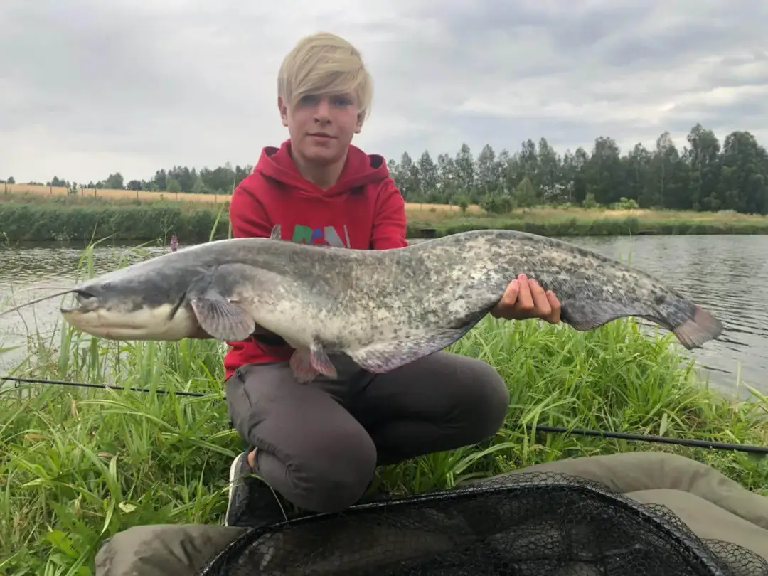 Cennik łowiska Grodzisko: ile zapłacisz za wędkowanie?