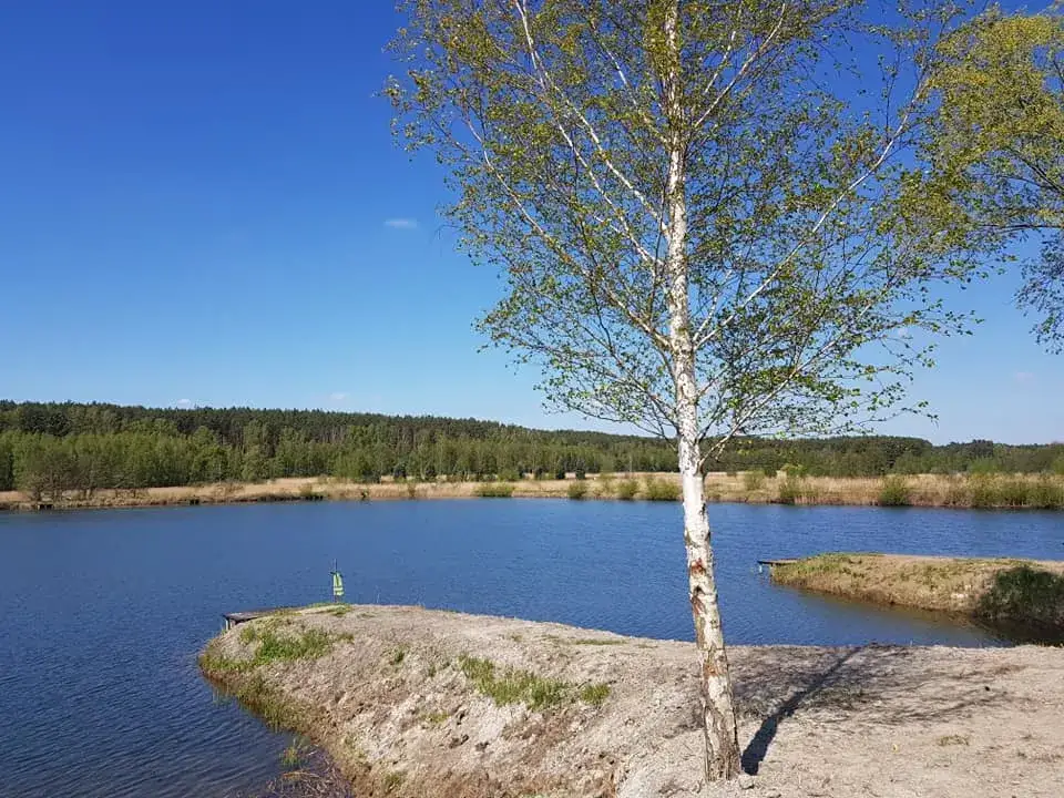 Łowisko Kormoran w Sulęcinie – idealne miejsce na wędkowanie i relaks