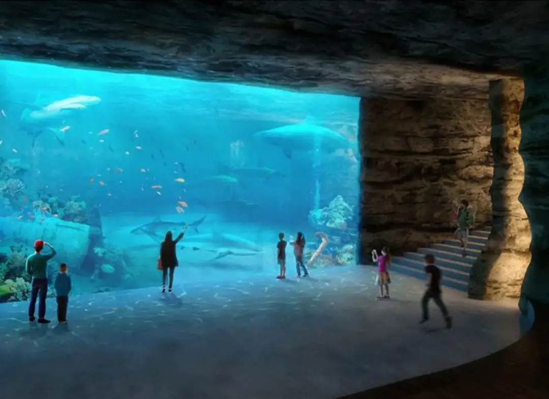 Oceanarium Łódź: Niezapomniane atrakcje i podwodne przeżycia