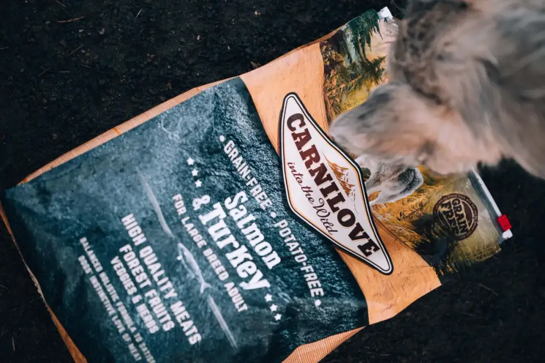 Pies odmawia karmy? Bezpieczne dosmaczacze i triki behawioralne