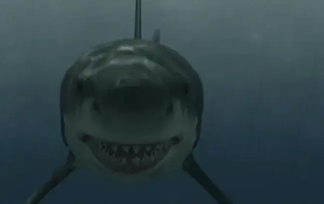 Rekin zabójca: Thriller z polowaniem na rekina na Filmweb