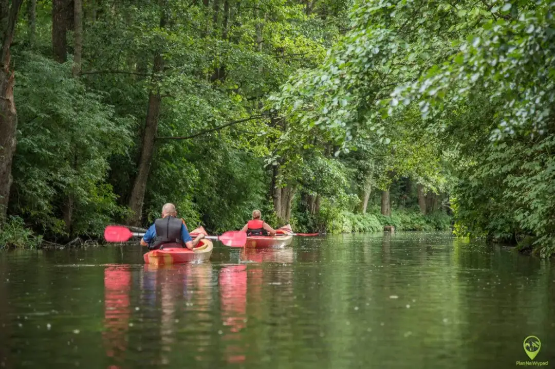 Spływy kajakowe Rospuda – trasy, porady i najpiękniejsze widoki