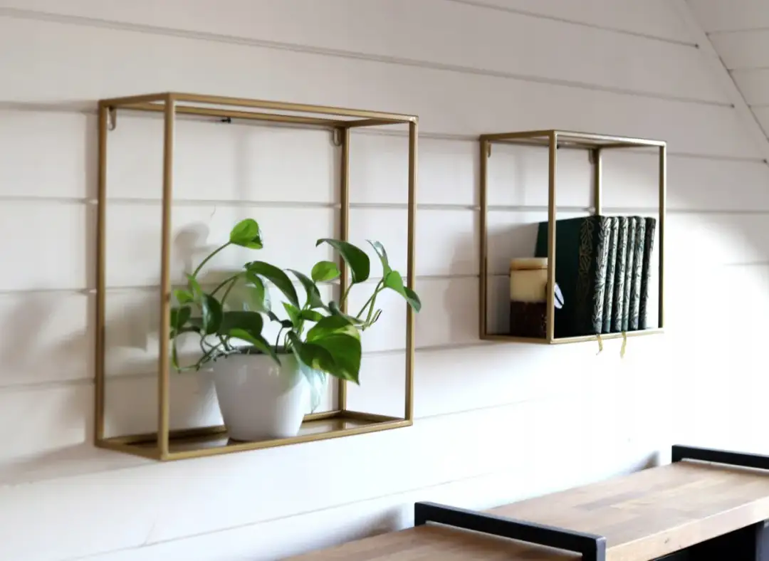 Kwietnik do salonu: Jak wybrać i stworzyć zieloną oazę w domu?