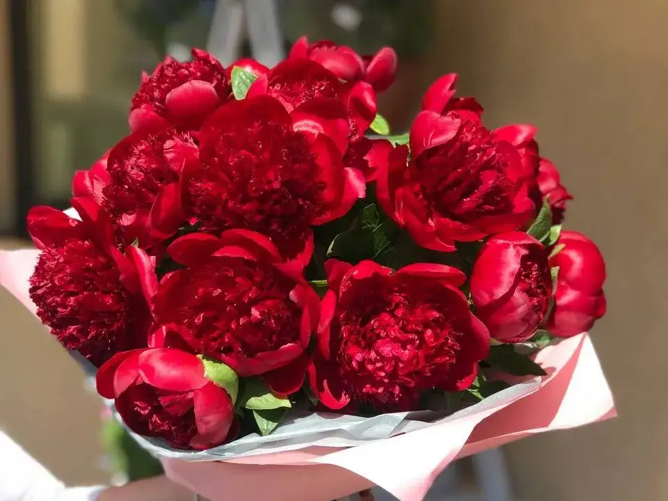 Jakie kwiaty dla kobiety na wyjątkowe okazje – symbolika i preferencje