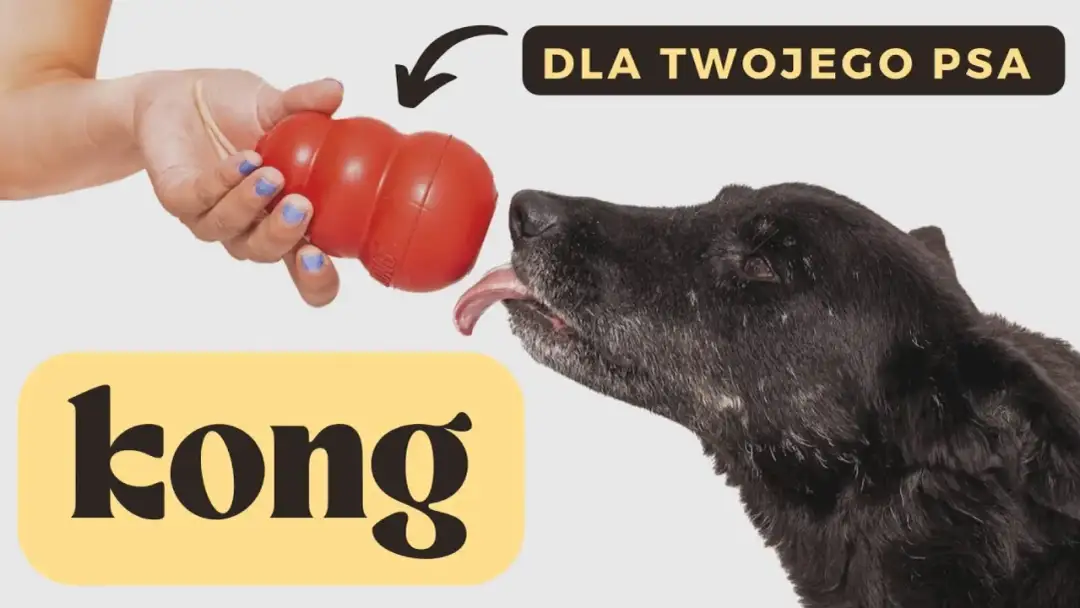 KONG dla psa: Jak w pełni wykorzystać potencjał? Poradnik eksperta