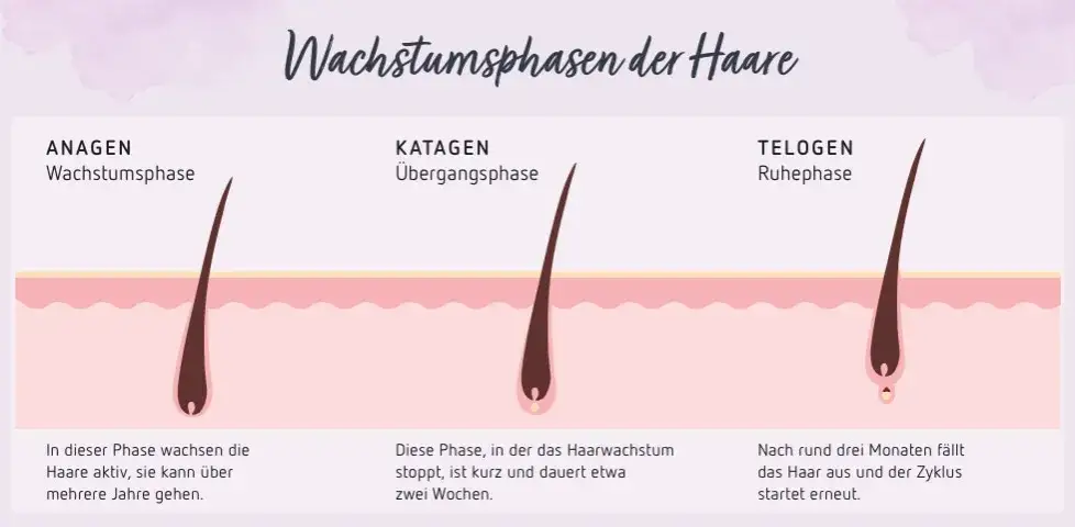 Haare schneller wachsen lassen: Die besten Tipps & Tricks für Länge