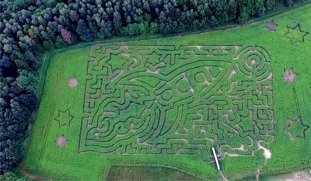 Labirynt: przestrzeń odkryć czy pułapka bez wyjścia w literaturze?