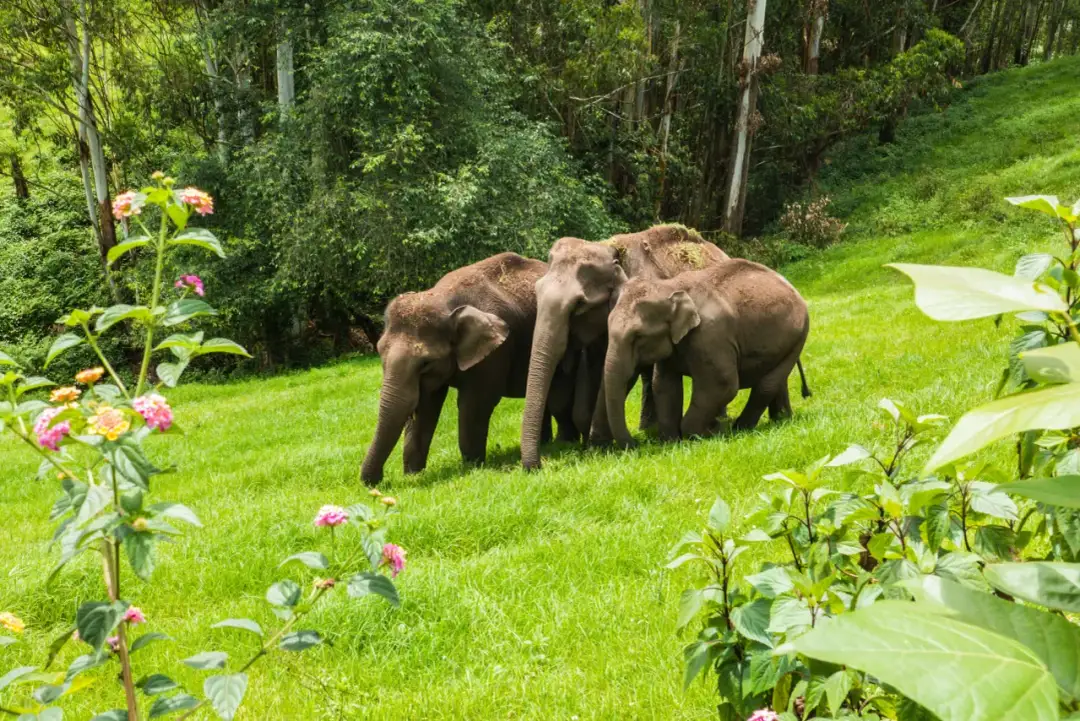 Najpiękniejsze miejsca w Indiach, które zachwycą każdego podróżnika