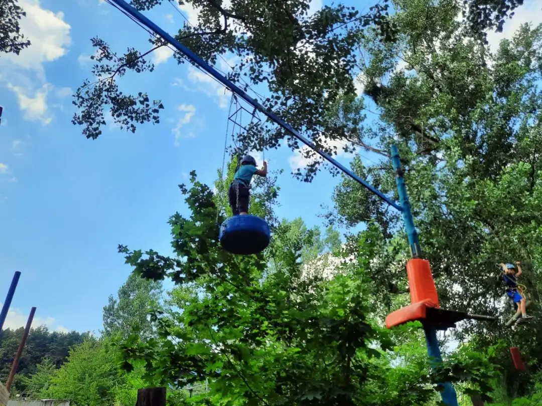 Park linowy Kolibki – emocjonujące atrakcje dla całej rodziny