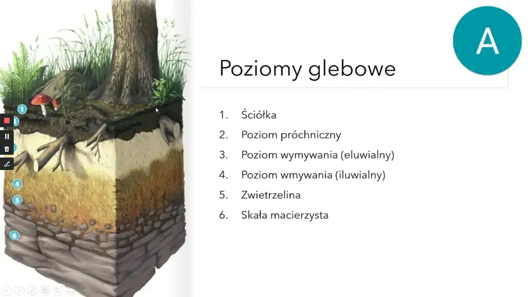 Gleba: Czym jest, jak powstaje i dlaczego jest kluczem do ogrodu?