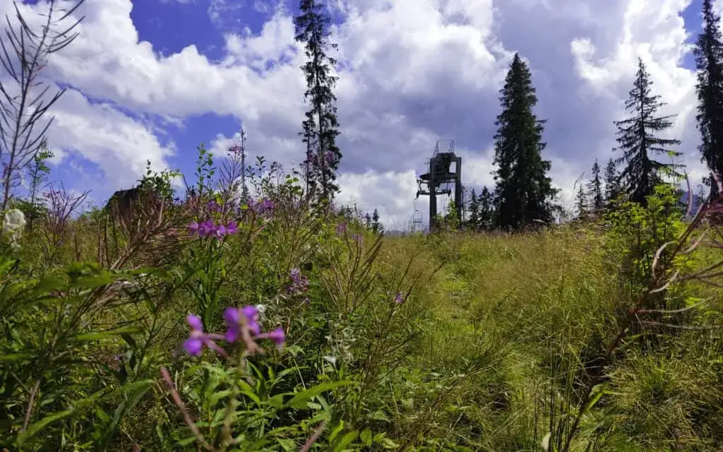 Butorowy Wierch Kościelisko: Pieszo na szczyt? Widoki lepsze niż z Gubałówki!