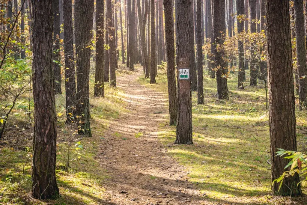 Najpiękniejsze trasy rowerowe na Mazowszu, które musisz zobaczyć w tym sezonie