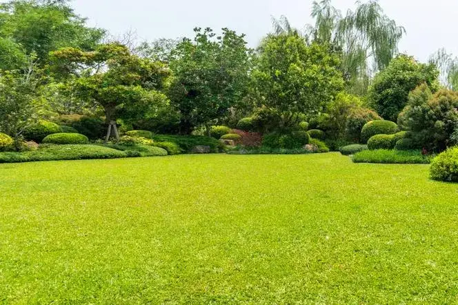 Kiedy nawozić trawnik na wiosnę? Uniknij błędów i ciesz się pięknym trawnikiem!