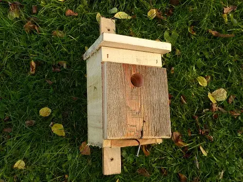 Jak łatwo zbudować domek dla ptaków DIY i cieszyć się naturą