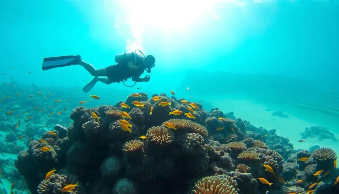 Czy w Marsa Alam jest bezpiecznie? Poznaj opinie i fakty o bezpieczeństwie