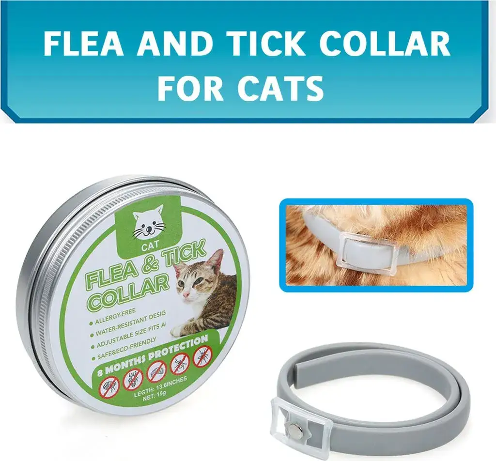 Obroża przeciwpchelna dla kota od jakiego wieku - ważne informacje o bezpieczeństwie