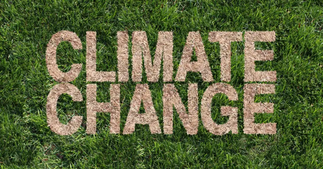 Co ma największy zły wpływ na klimat i jak temu zapobiec