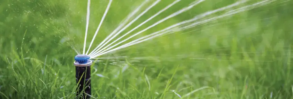 Jak zrobić domowy zraszacz, który zaoszczędzi czas i wodę