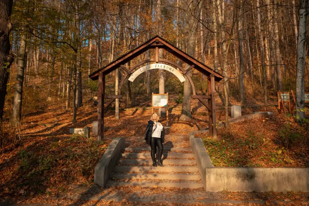 Kudowa-Zdrój: Co zobaczyć? Przewodnik po atrakcjach i Górach Stołowych