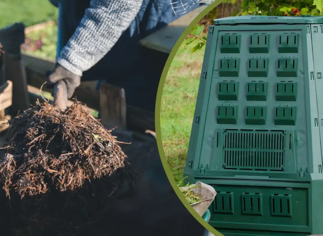Kompostowanie igliwia - praktyczny poradnik dla zaawansowanych ogrodników