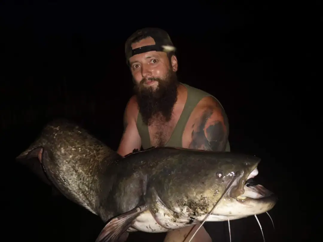 Mężczyzna w czapce z daszkiem trzyma dużego suma.