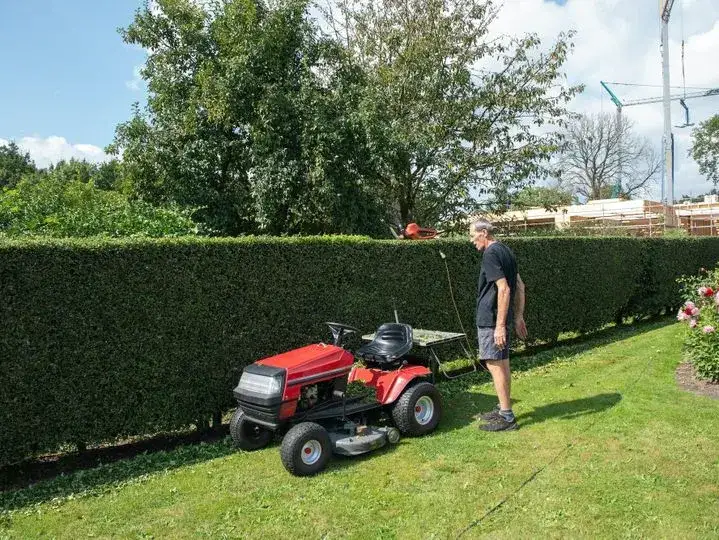 Jaki traktorek kosiarka wybrać, aby nie żałować wyboru?