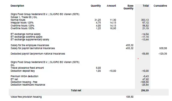 Pasek z wypłaty: Wyjaśnienie skrótów, jak sprawdzić paski zarobkowe i inne kluczowe informacje