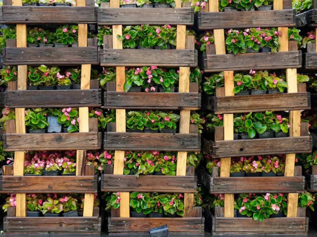 Kwietnik z palet DIY: Praktyczny przewodnik krok po kroku