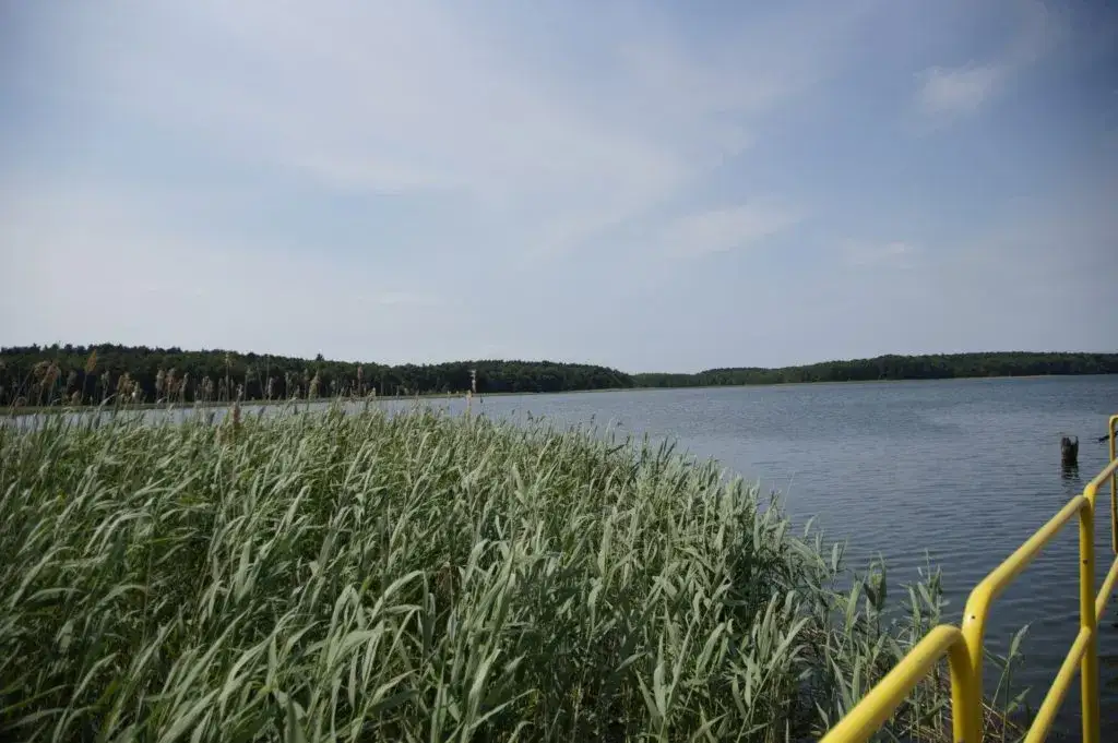 Jezioro Wilkowskie: piękne miejsce na relaks i udane wędkowanie