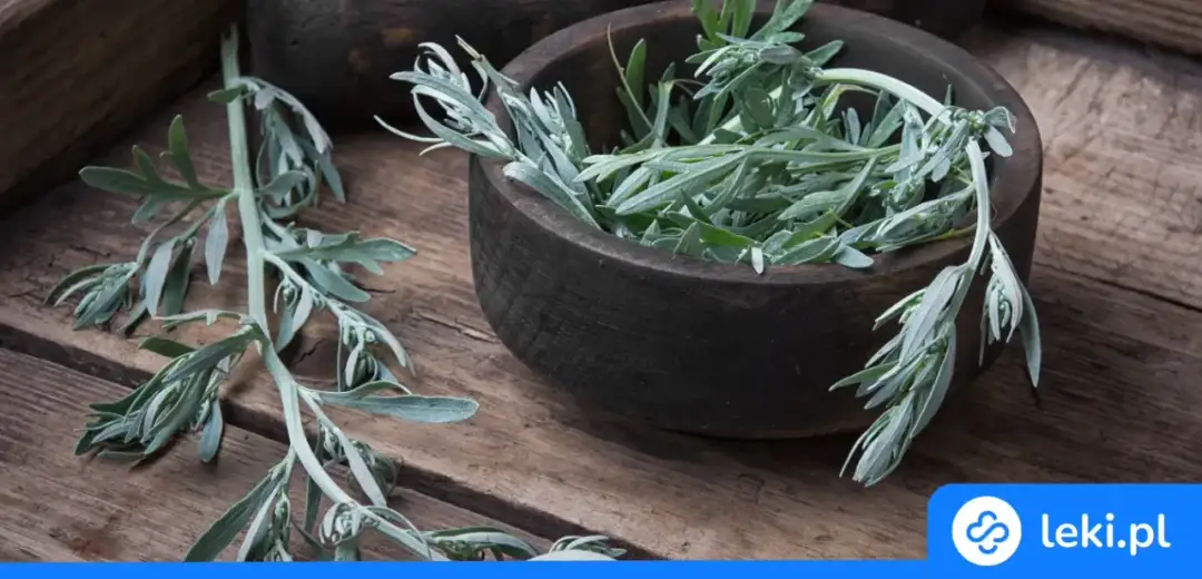 Leki na odrobaczenie: Kiedy i jak bezpiecznie pozbyć się pasożytów?