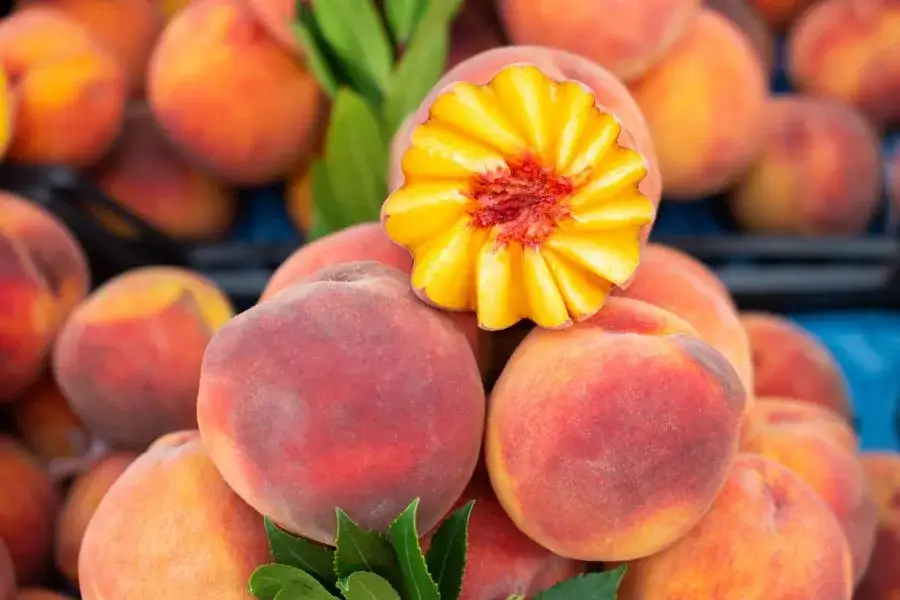 Ile kalorii mają brzoskwinie? Poznaj zaskakujące wartości odżywcze Ile kalorii mają brzoskwinie? Poznaj zaskakujące wartości odżywcze