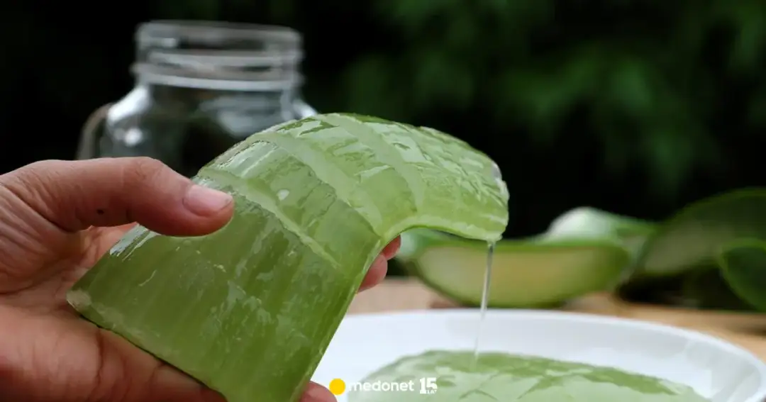 Prawdziwy sok z aloesu: Jak go wybrać i nie dać się oszukać?