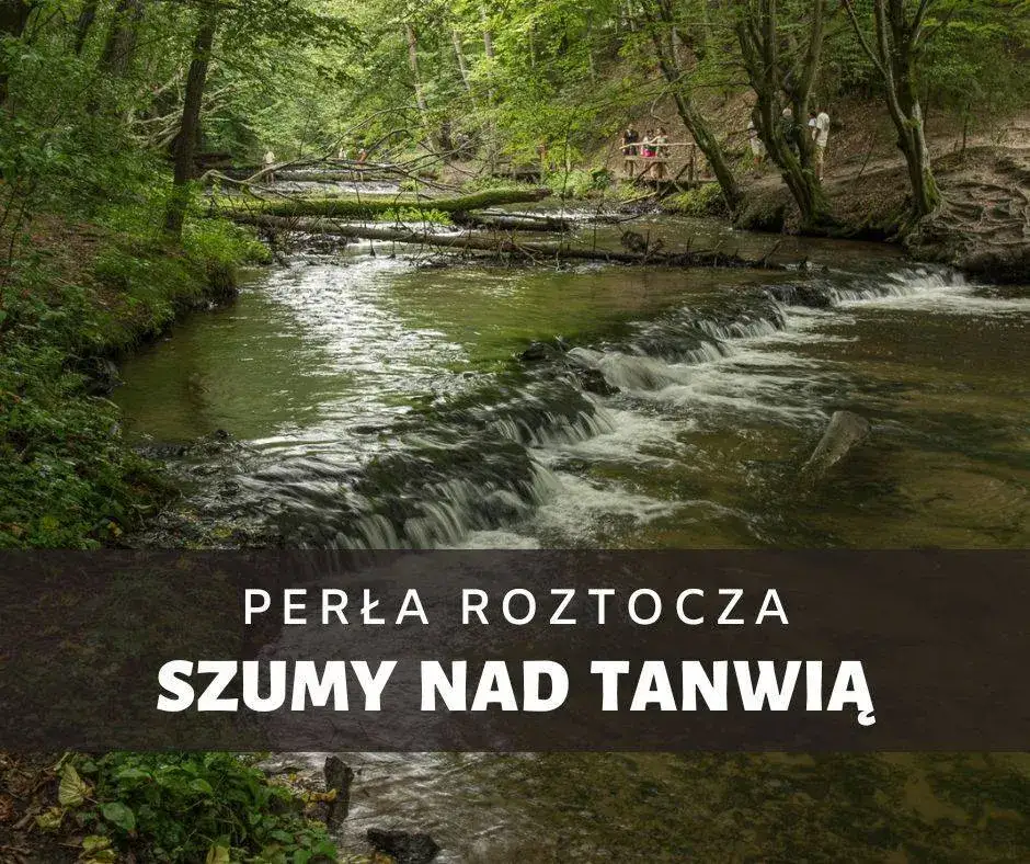 Rezerwat Szum: Kaskady Tanwi, szlaki i planowanie wycieczki na Roztoczu