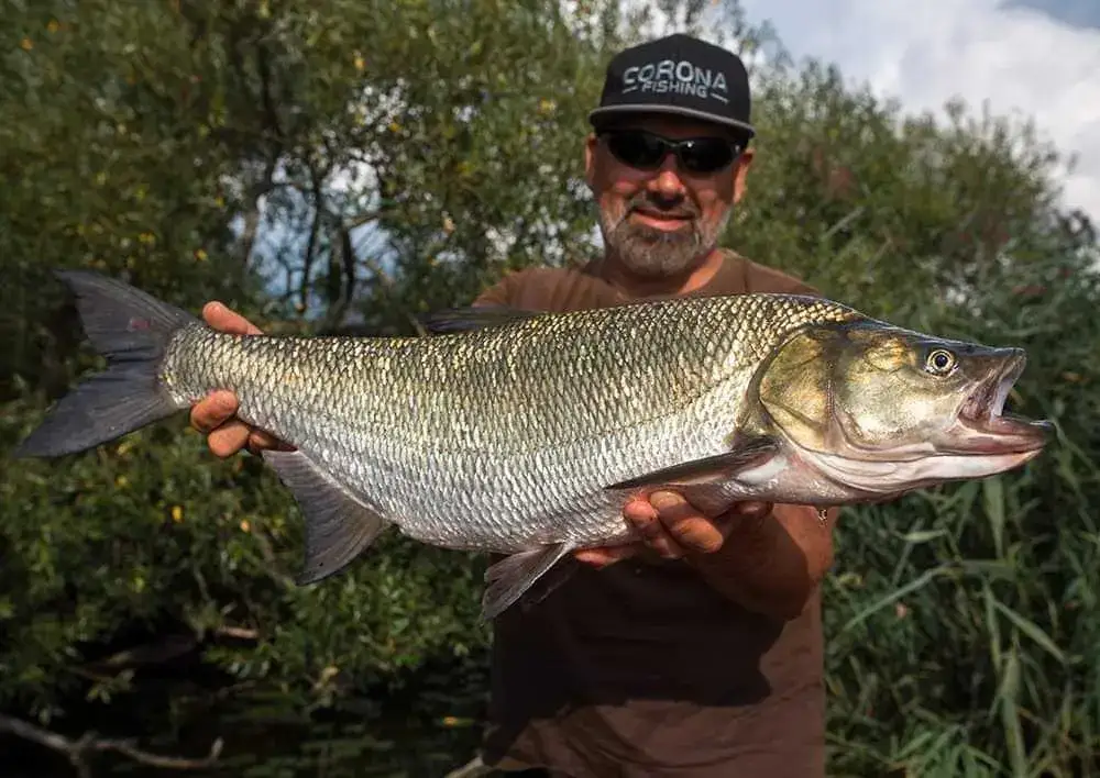 Marcowy spinning: Jakie ryby łowić i gdzie szukać? Poradnik