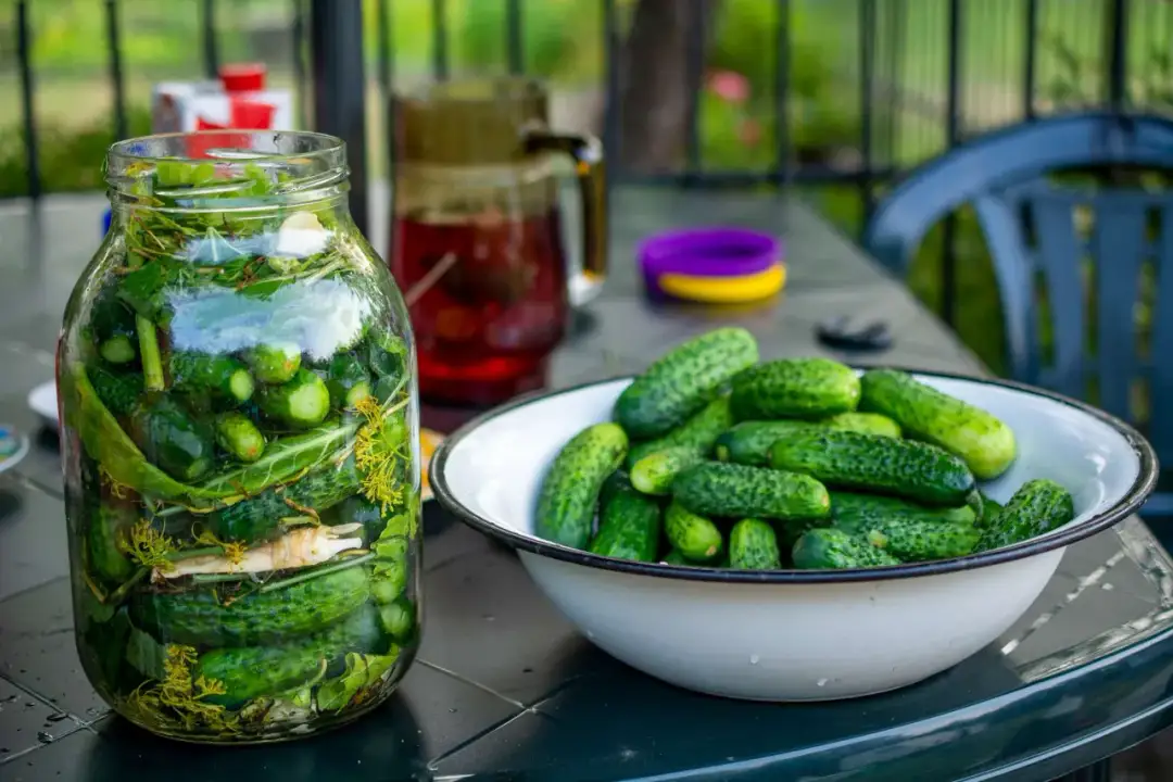 Ile soli do ogórków kiszonych na zimę, aby uniknąć nieudanych przetworów?