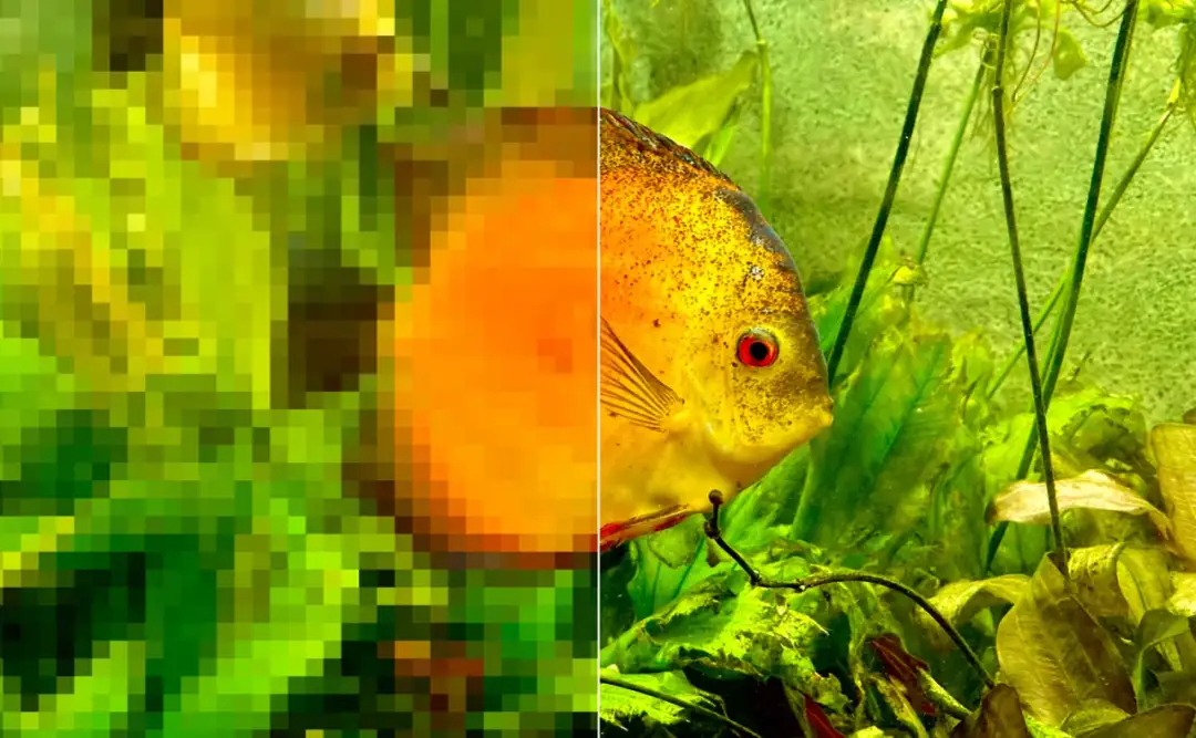 Czy można powiększyć zdjęcie u fotografa? Oto, co warto wiedzieć