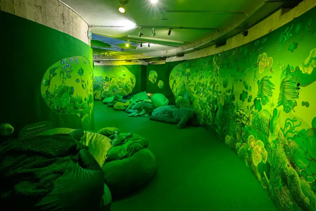 Muzeum Współczesne Wrocław: Sztuka w bunkrze? Praktyczny przewodnik