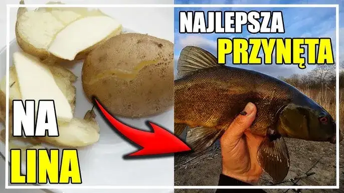 Skuteczne domowe przynęty na ryby - tanie przepisy, które działają