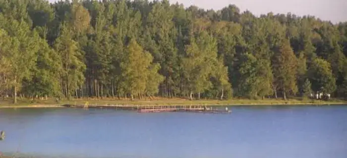Jezioro Wielewskie: Pozwolenie na wędkowanie i jego koszty oraz zasady