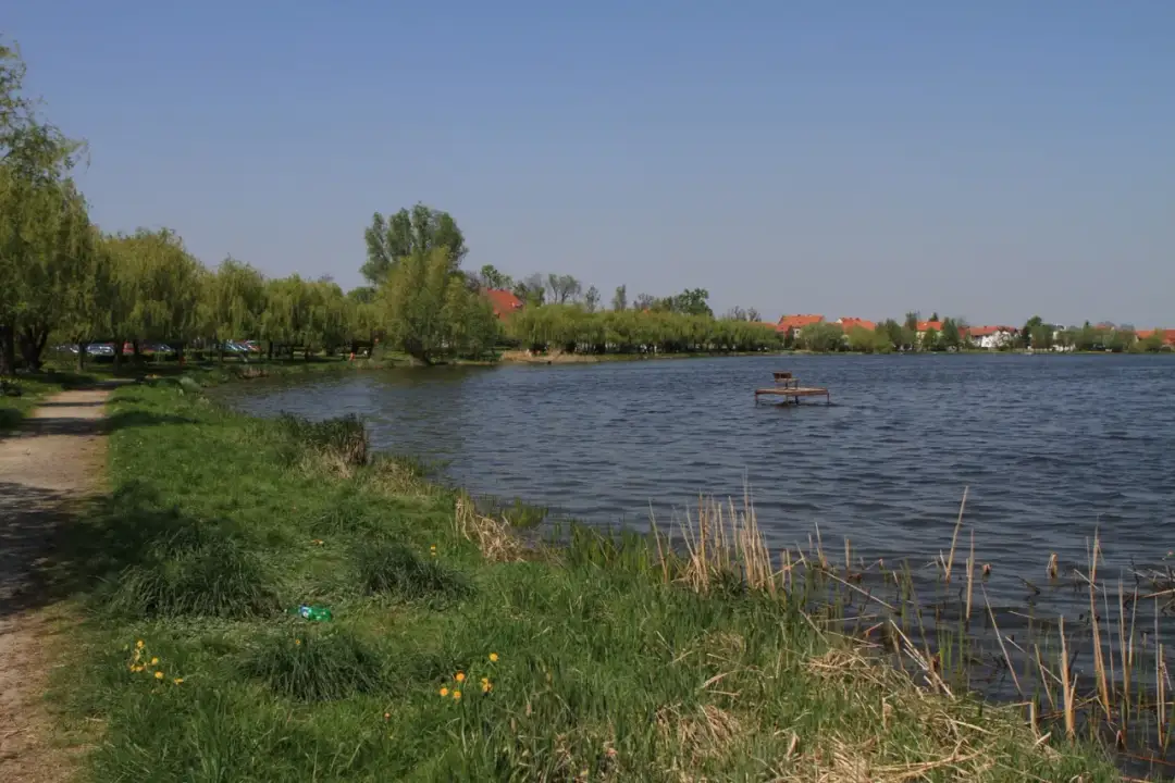 Jezioro Kunickie: najlepsze miejsca na wędkowanie i żeglarstwo w regionie