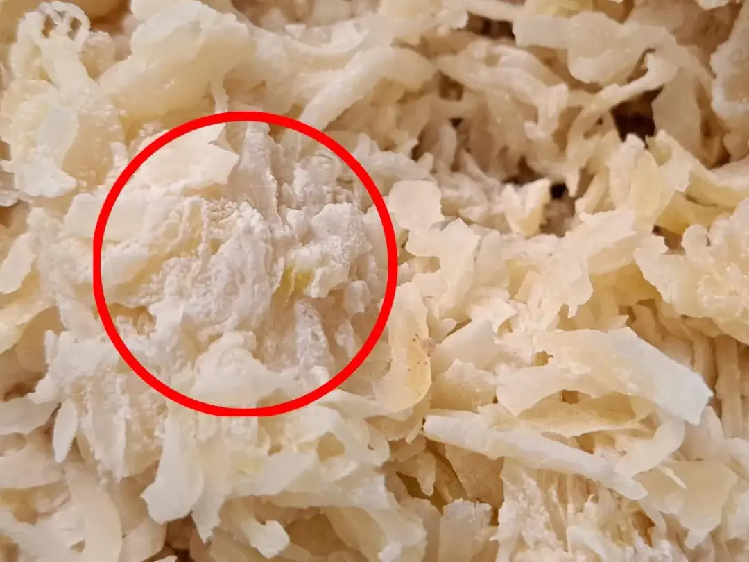 Pleśń na kapuście kiszonej co robić? Jak uniknąć problemów zdrowotnych