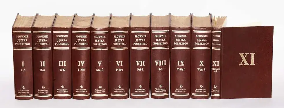 Uniwersalny słownik języka polskiego – klucz do współczesnej polszczyzny