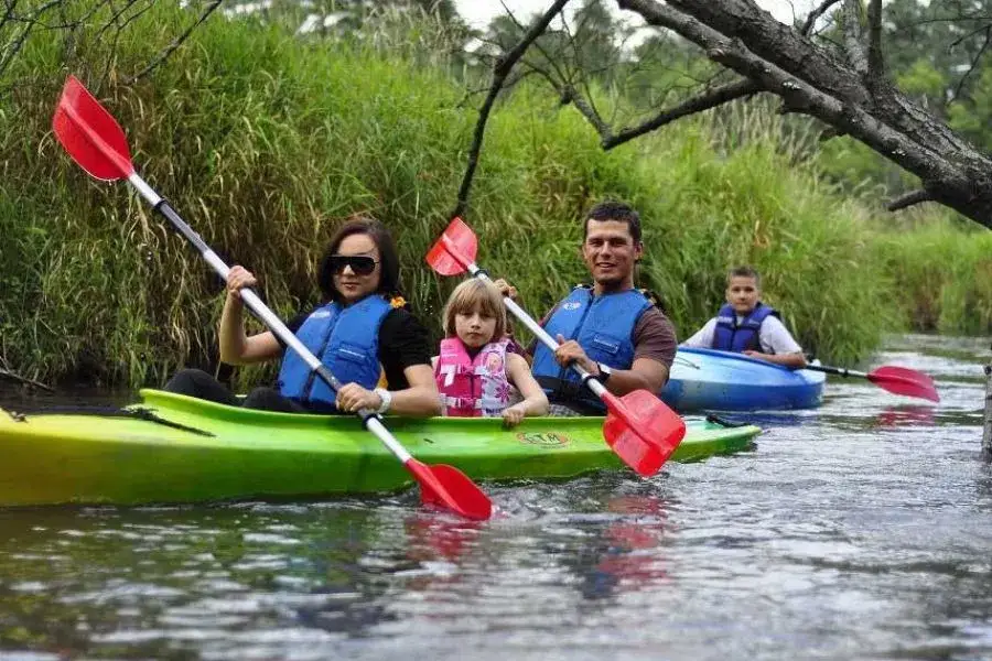 Ceny kajaków w Zwierzyńcu: Kompletny cennik spływów 2025