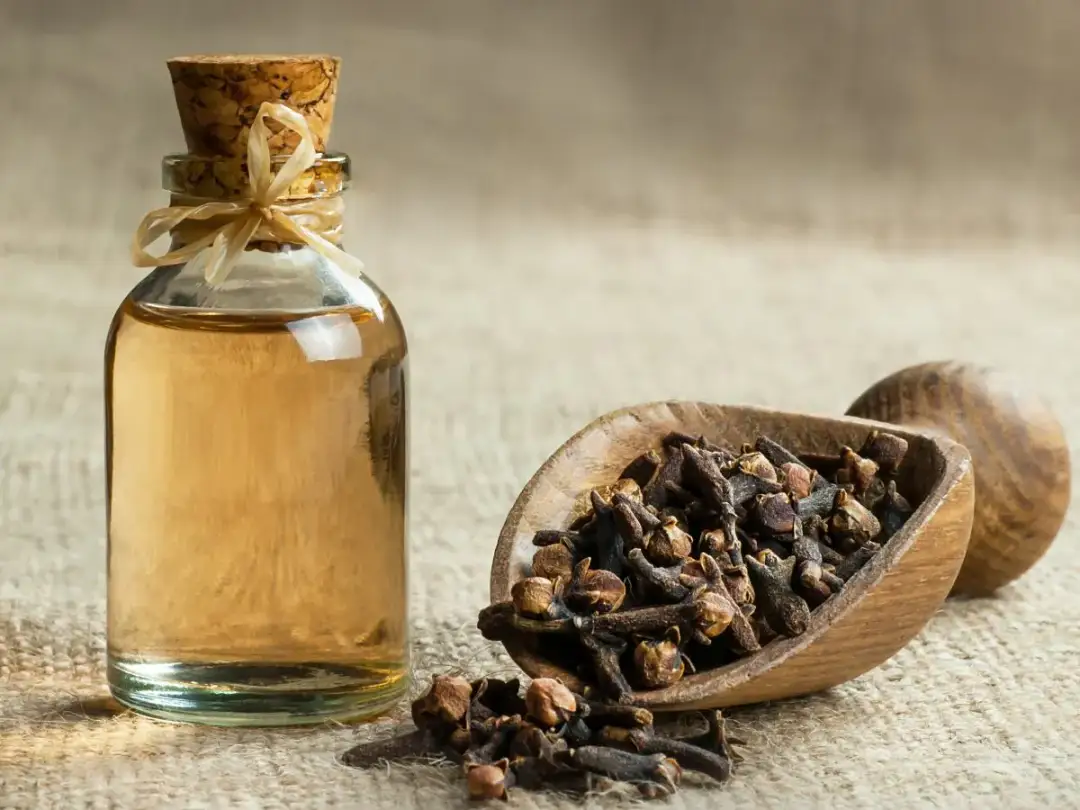Domowy olejek goździkowy: Szybka ulga w bólu zęba - przepis